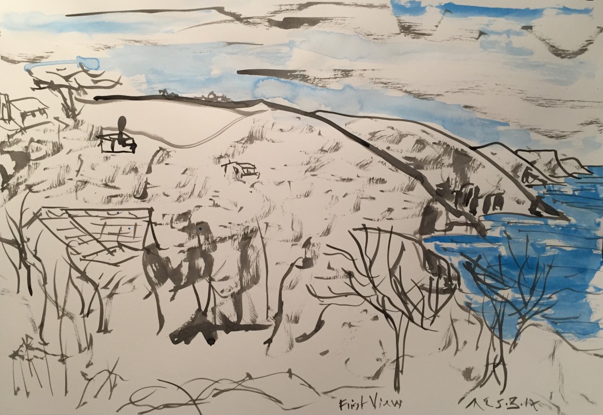 First View by Martin Briggs 