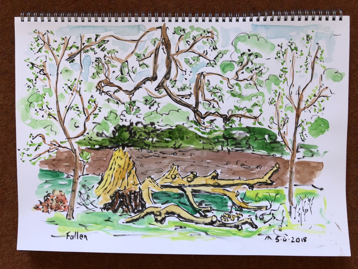 Fallen by Martin Briggs 