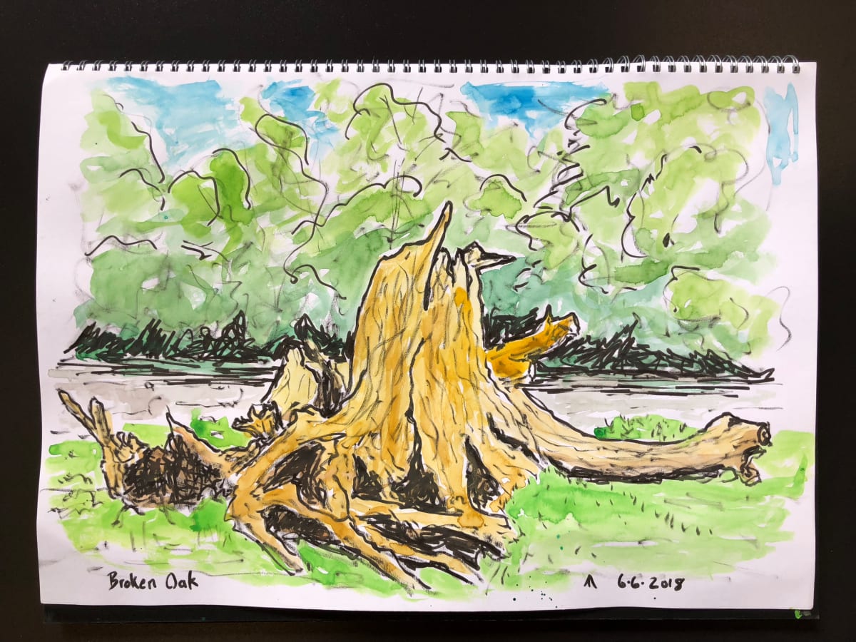 Broken Oak by Martin Briggs 