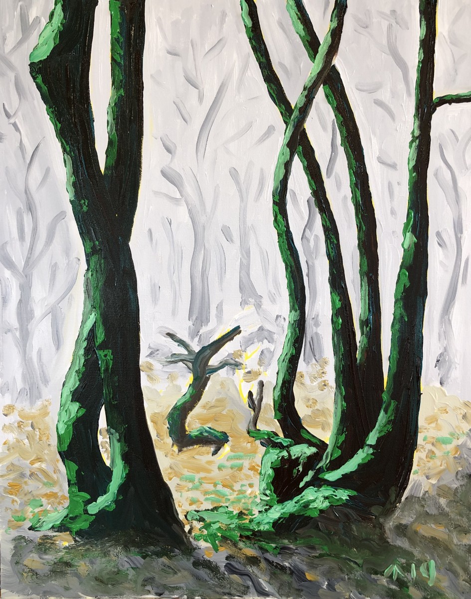 Mist and Moss by Martin Briggs 