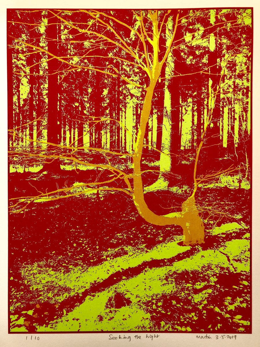 Seeking the Light by Martin Briggs 