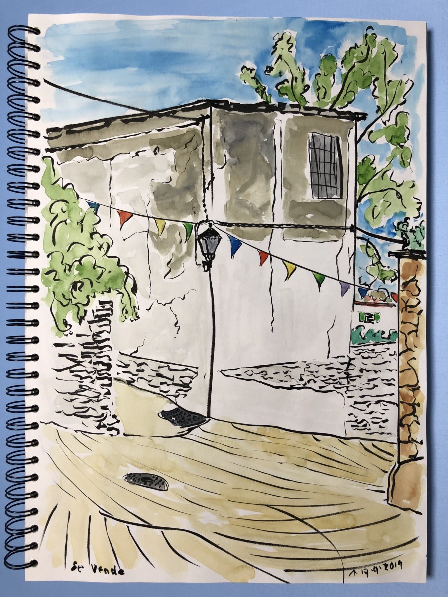 Se Vende by Martin Briggs 