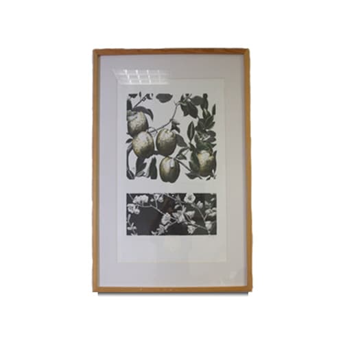 Membrillos by María Sada, Image 1.