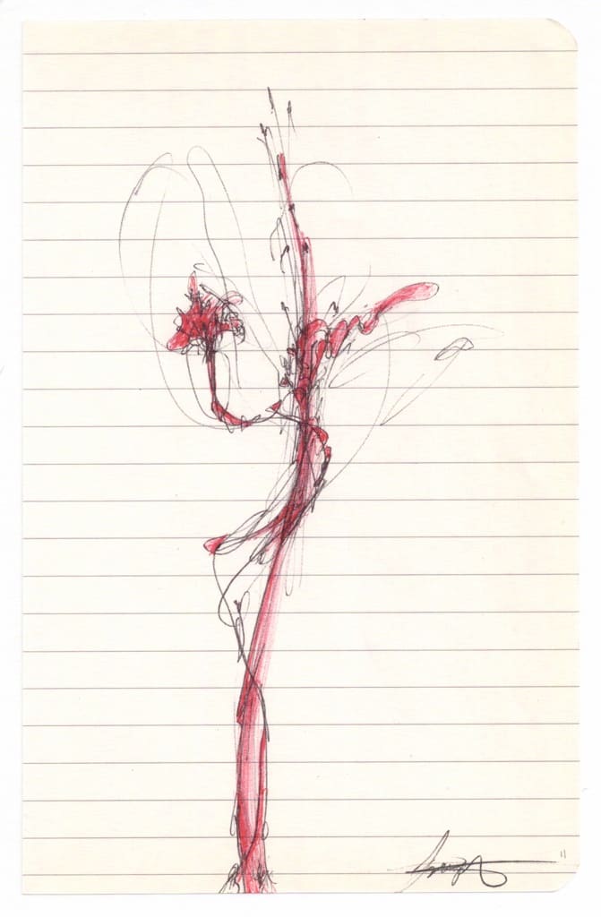 Blood Roses #11 by Brenda Stumpf Studios 