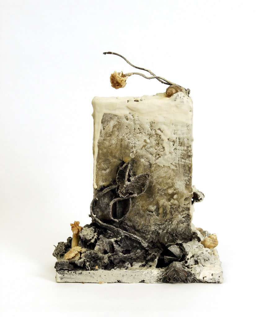 Contents of the Box 1 by Brenda Stumpf Studios 