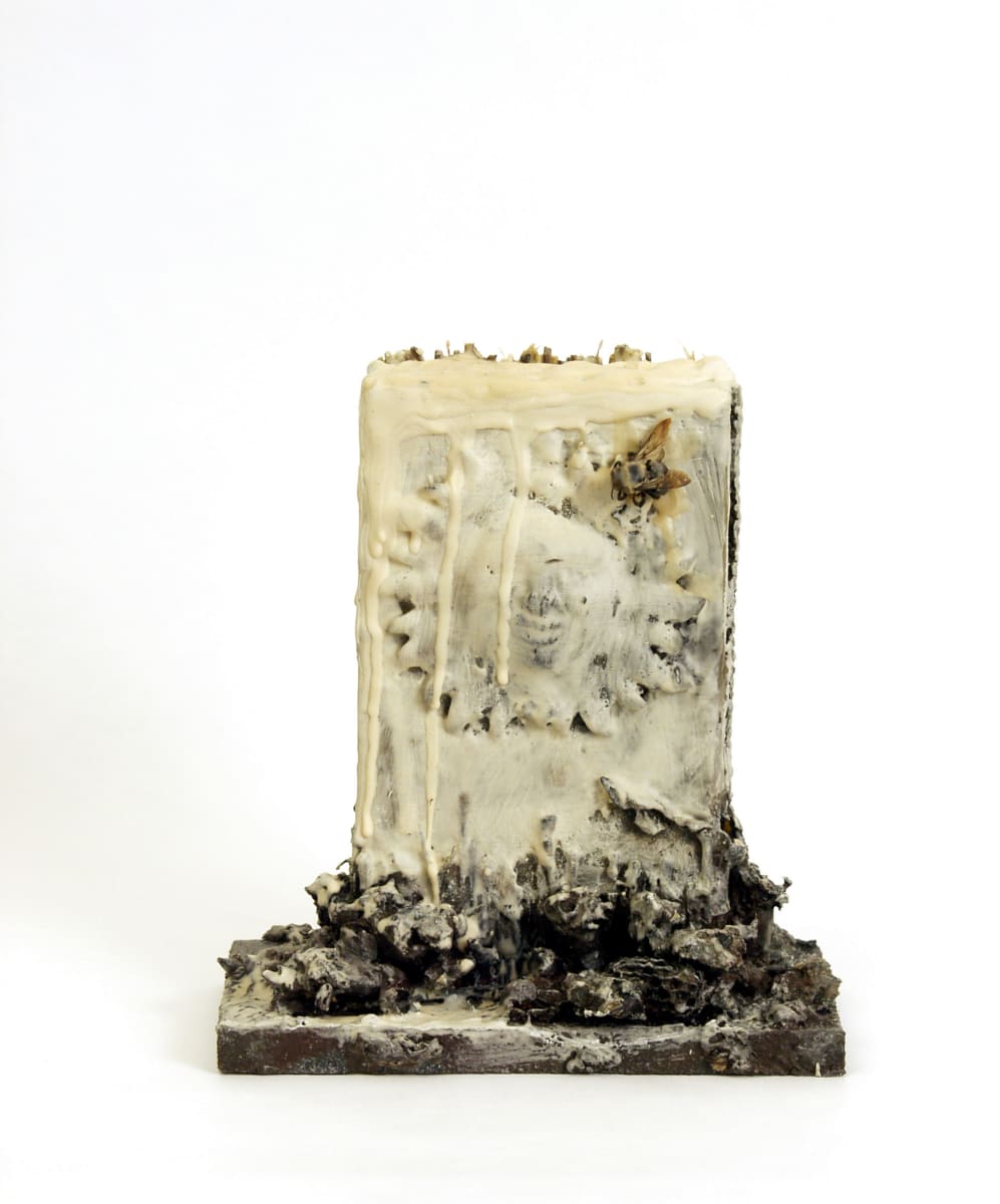 Contents of the Box 3 by Brenda Stumpf Studios 
