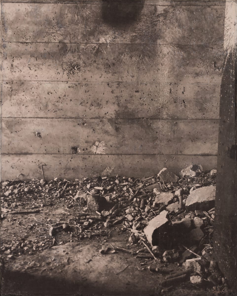 Detritus by Brenda Stumpf, Image 1.