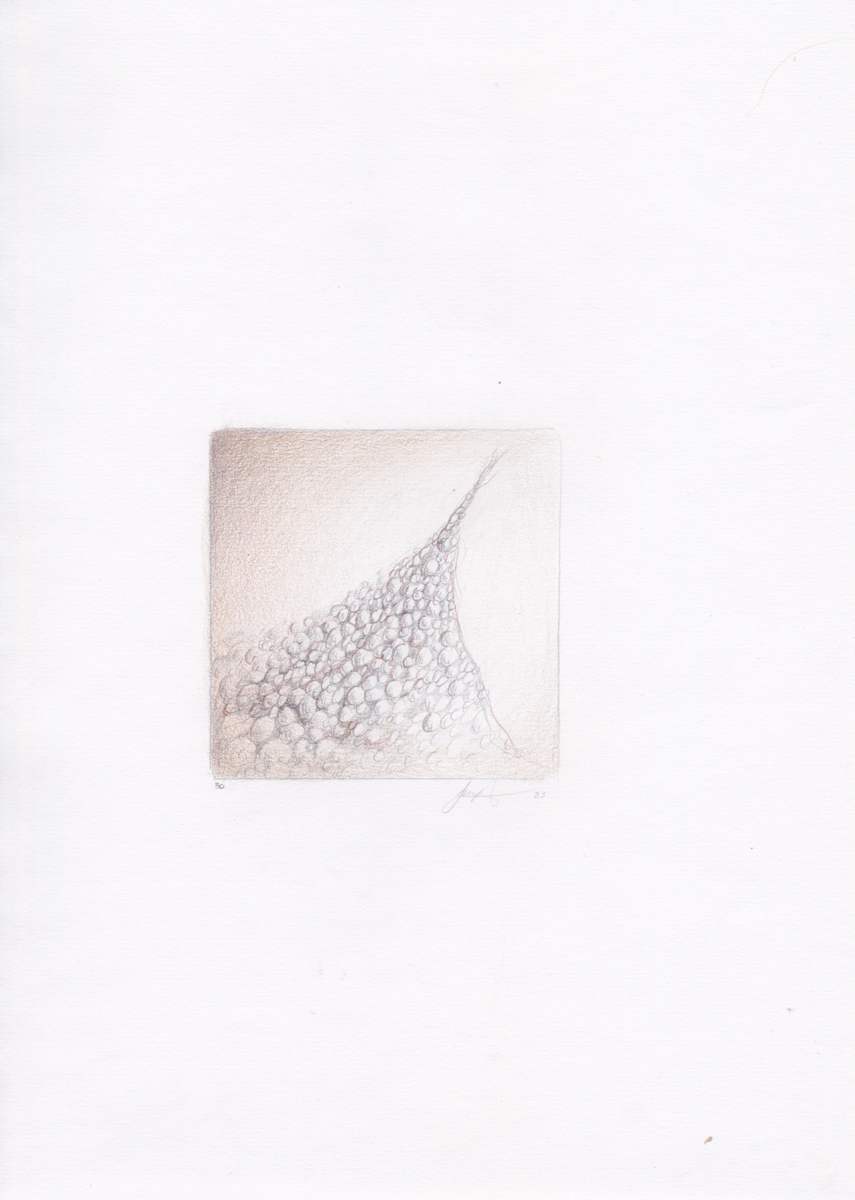 Eggs Rocks Pearls 30 by Brenda Stumpf 
