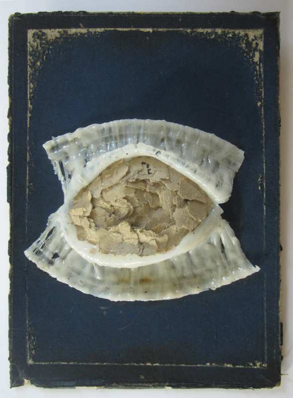 Eye (Sight) by Brenda Stumpf Studios, Image 1.