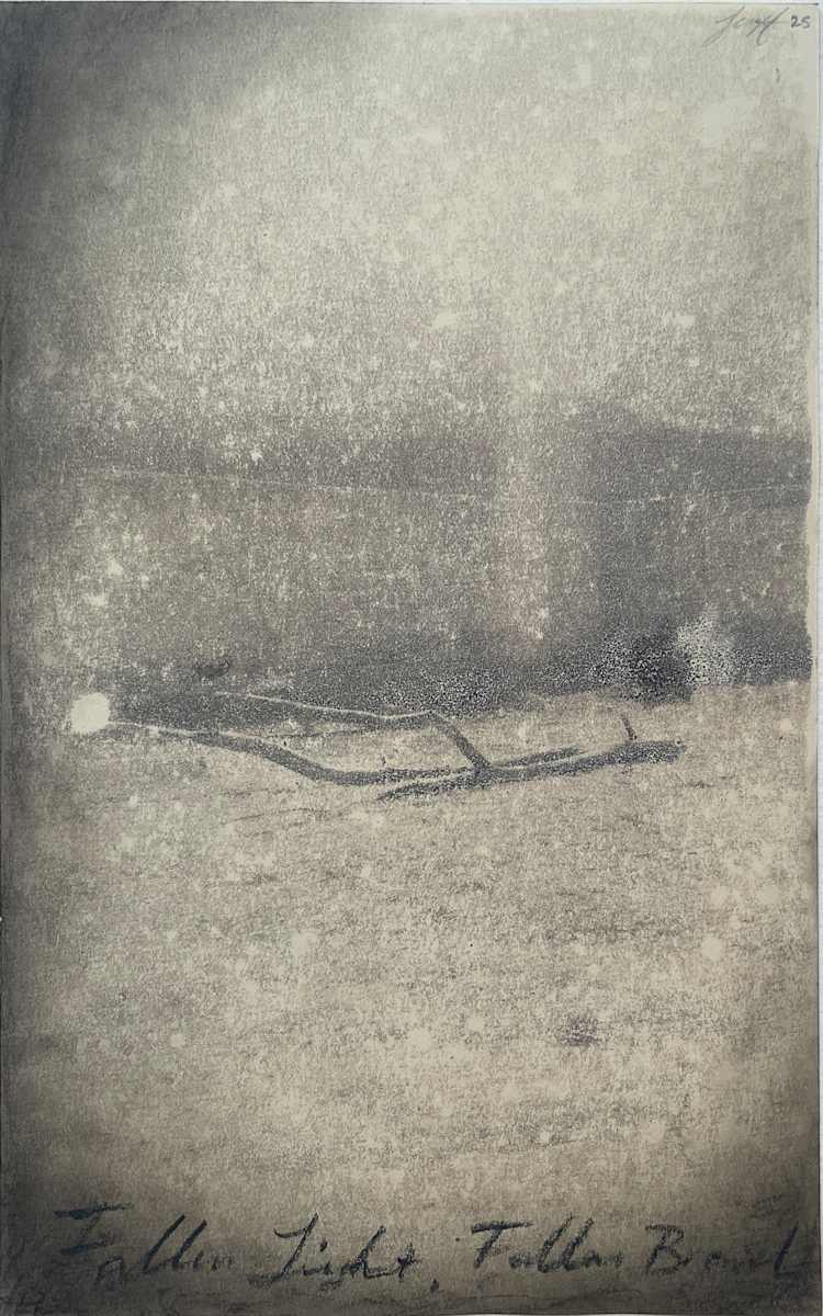 Fallen Light, Fallen Branch by Brenda Stumpf, Image 1.