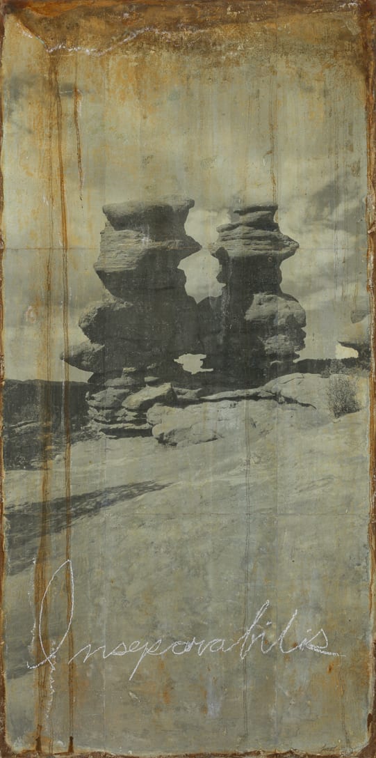Inseparabilis by Brenda Stumpf, Image 1.