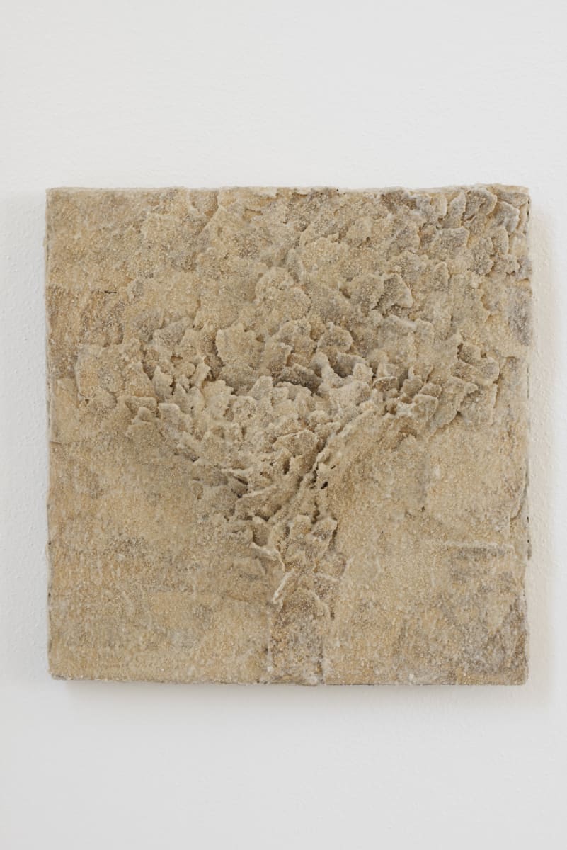 Layection by Brenda Stumpf Studios, Image 1.