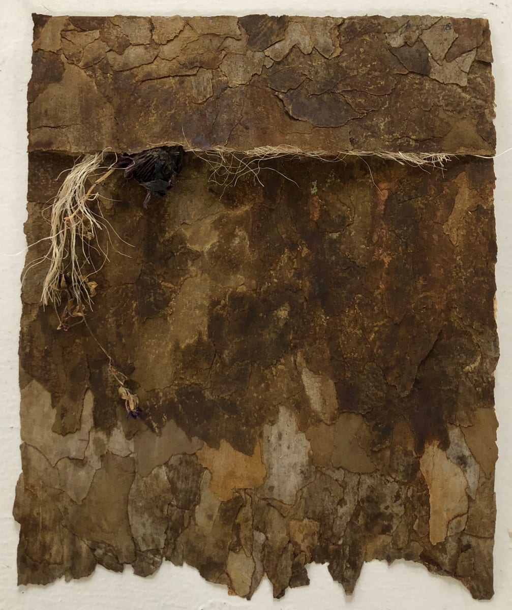 Lost by Brenda Stumpf Studios, Image 1.