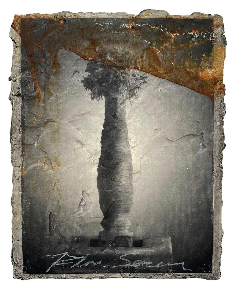 Oblation 2 (Flos Sacer) by Brenda Stumpf, Image 1.