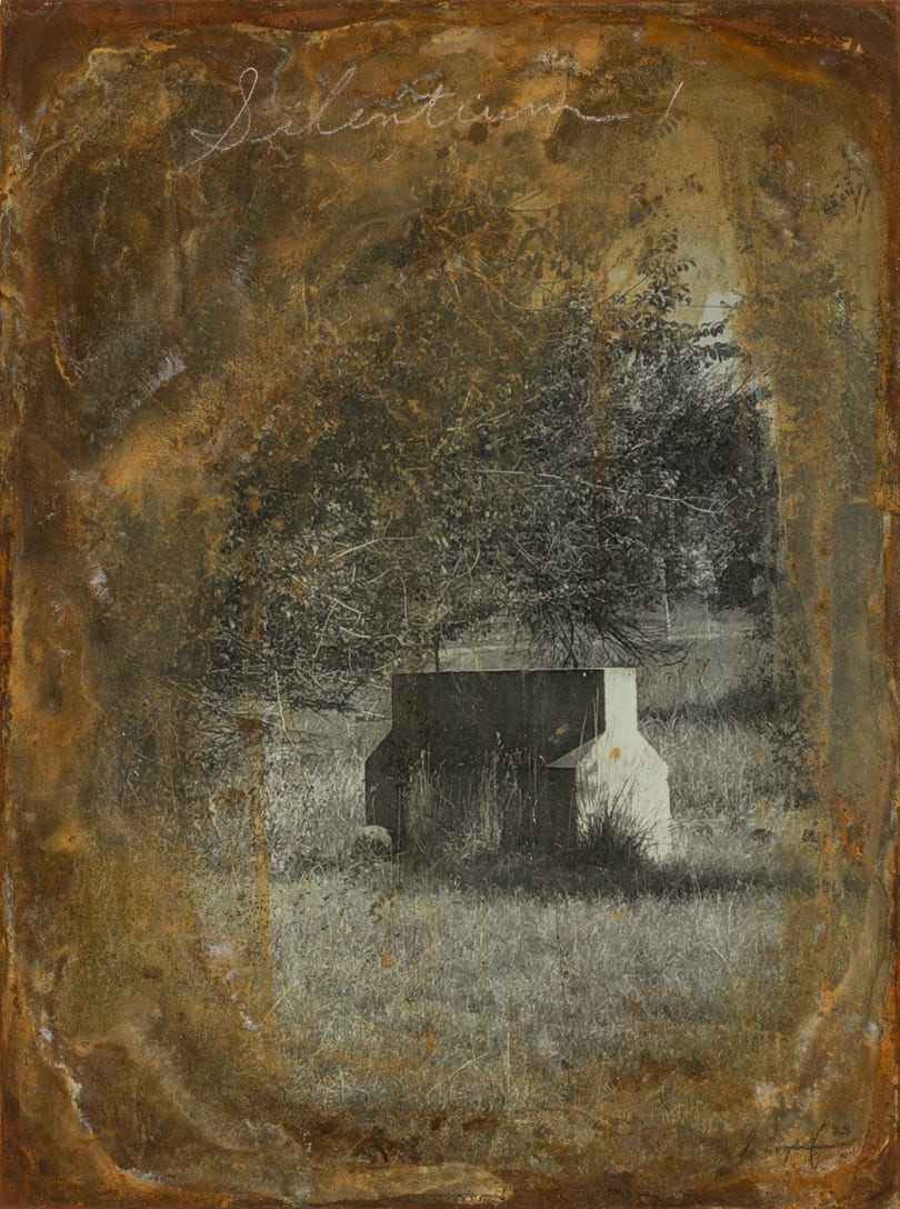 Silentium I by Brenda Stumpf 