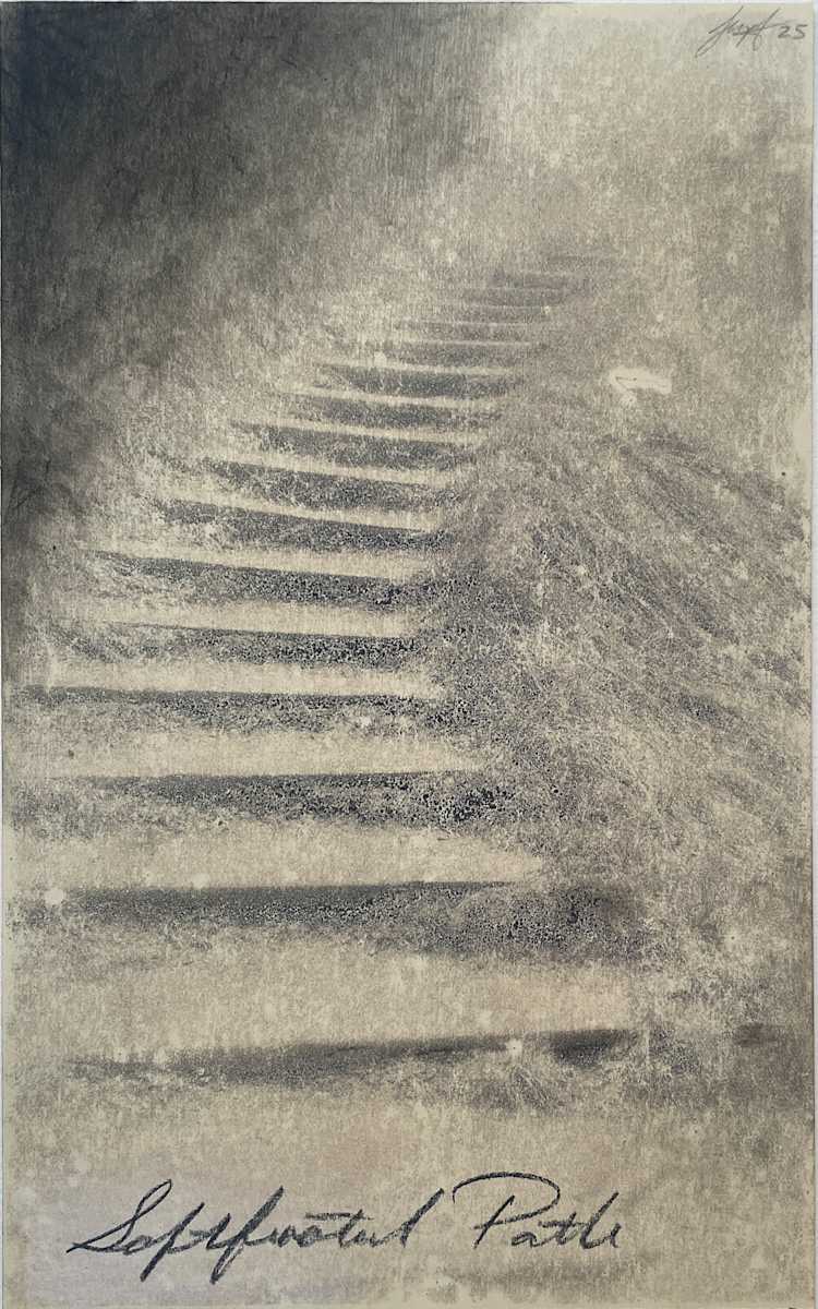 Softfooted path by Brenda Stumpf, Image 1.