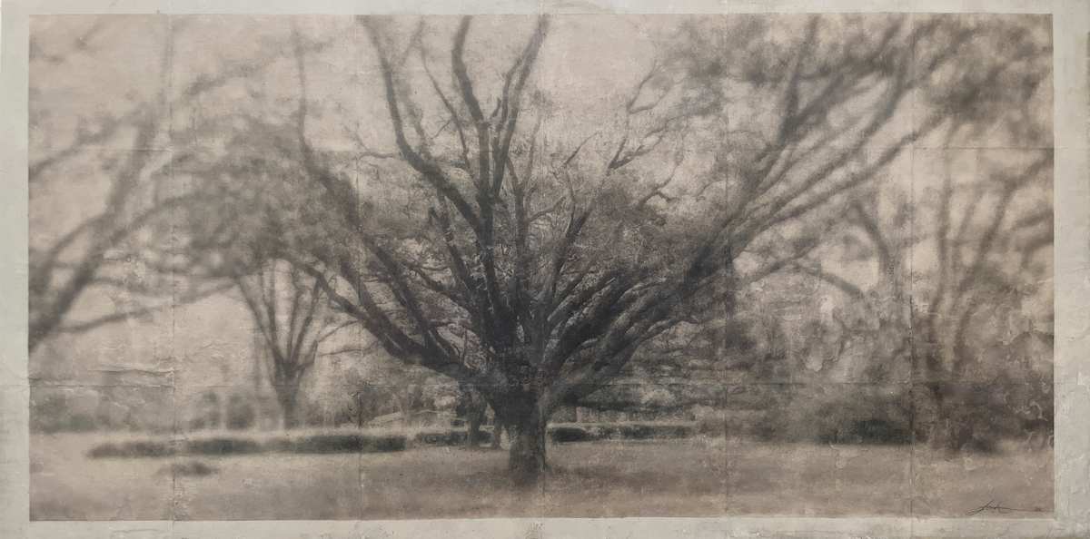 Strong Oak by Brenda Stumpf, Image 1.