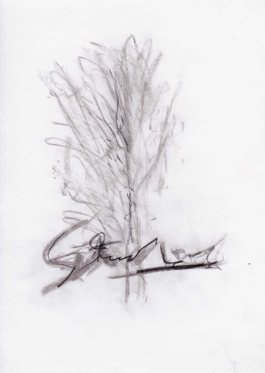 Summer Smoke 1 by Brenda Stumpf, Image 2.