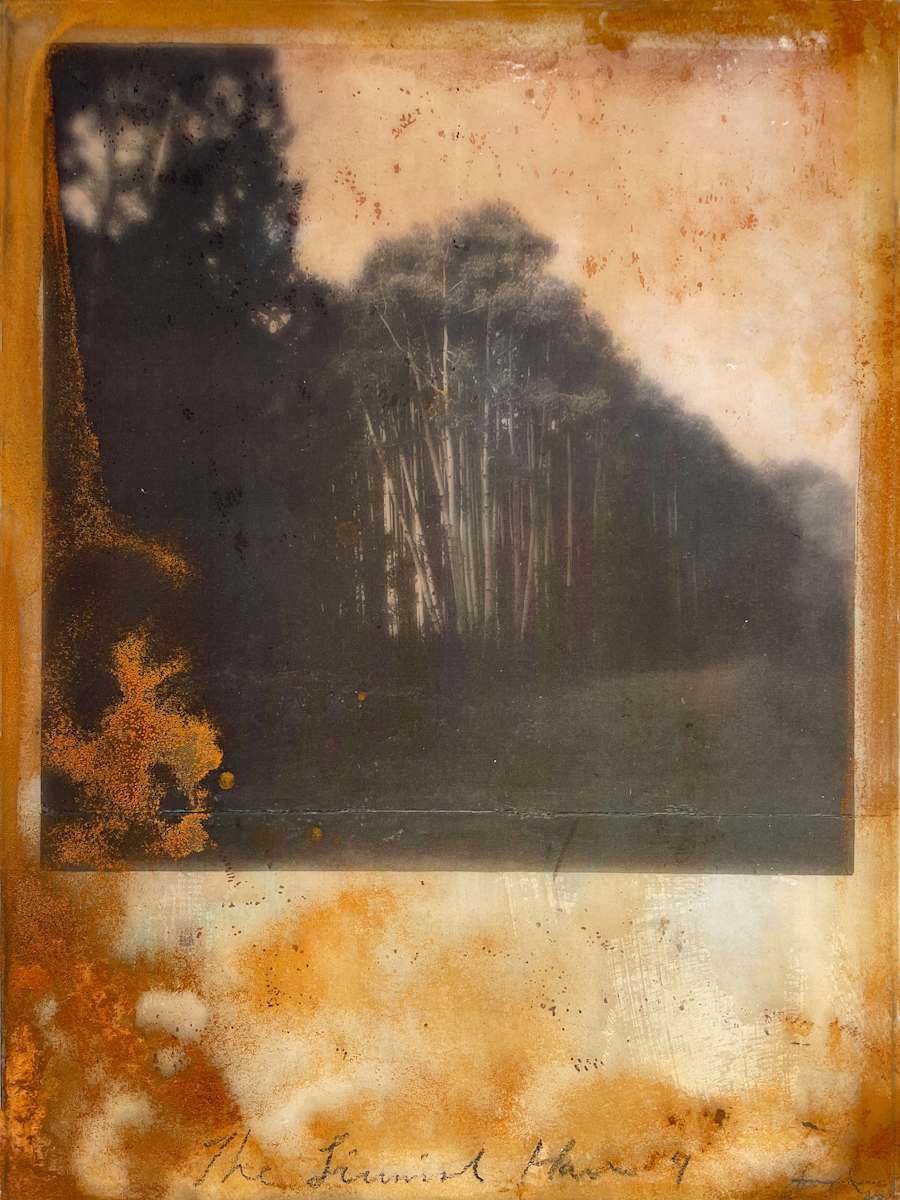 The Liminal Hour 4 by Brenda Stumpf, Image 1.