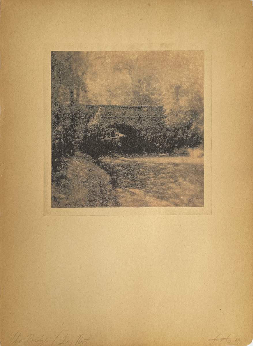 The Bridge/Le Pont by Brenda Stumpf 