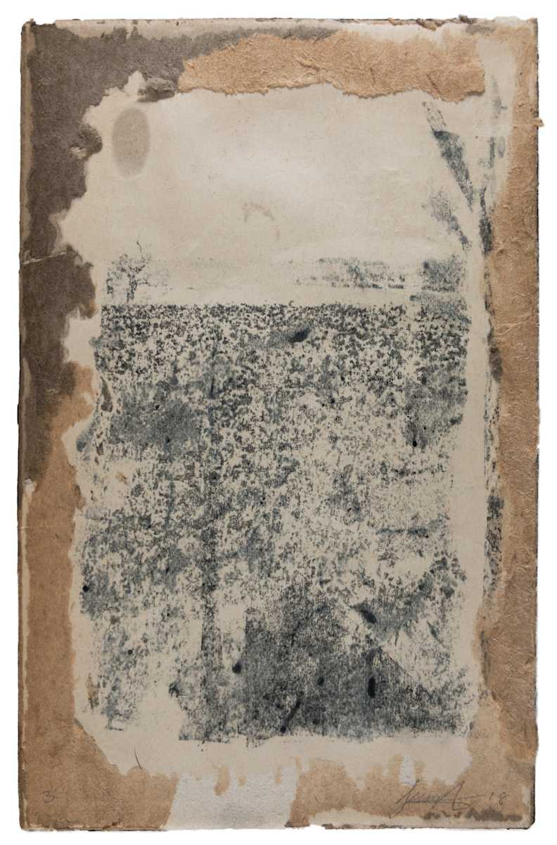 The Field (Parched) by Brenda Stumpf Studios, Image 1.