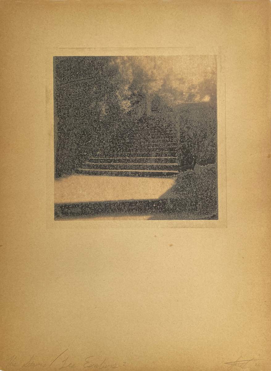 The Stairs/Les Escaliers 2 by Brenda Stumpf 