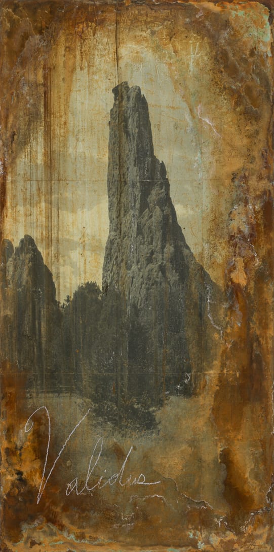 Validus by Brenda Stumpf, Image 1.