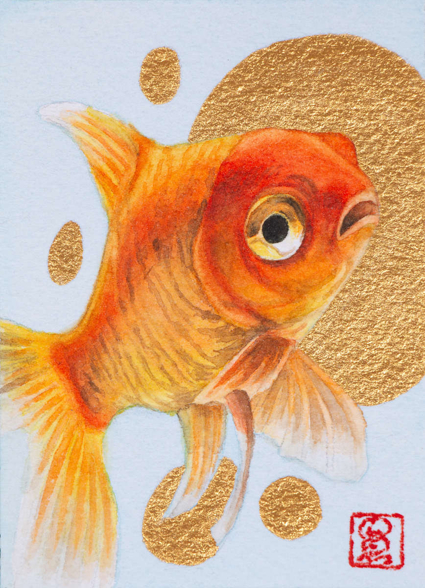 Goldfish 3 by Noelia Somoza, Image 1.