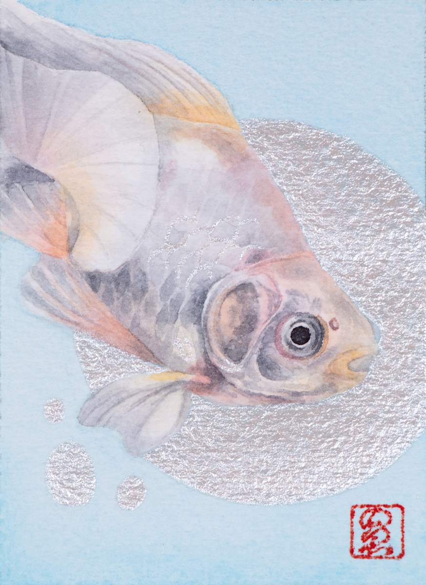 Goldfish 4 by Noelia Somoza, Image 1.