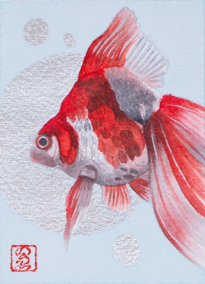 Goldfish 5 by Noelia Somoza, Image 1.