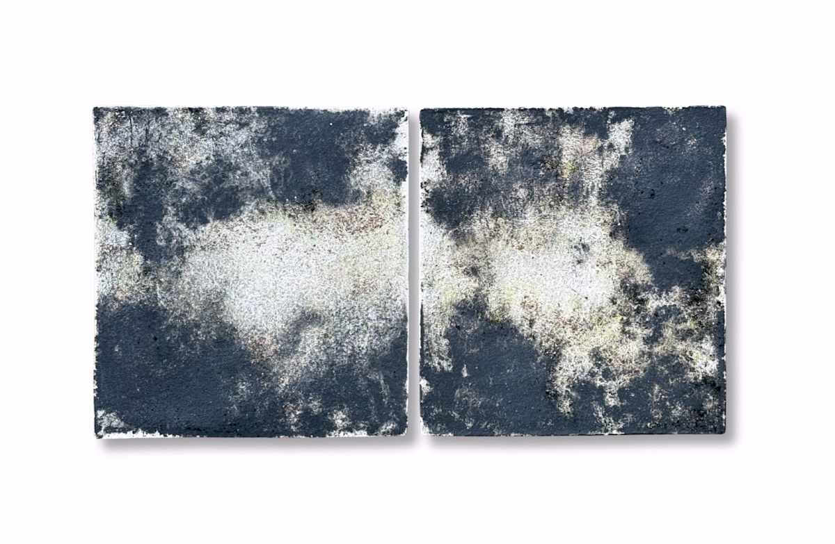 14_Ghost Rain Diptych by Kala Stein, Image 1.