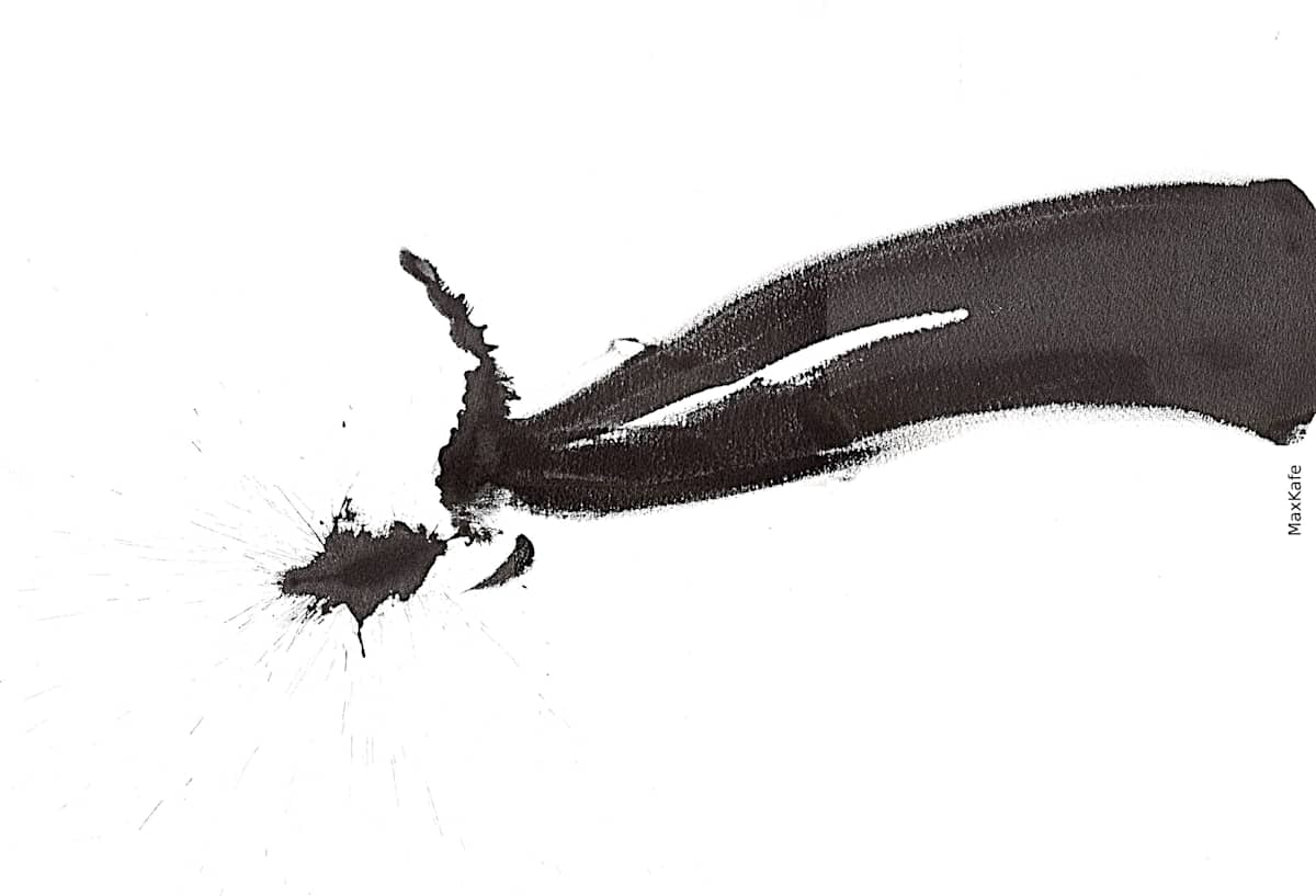 Salmon 2 by Max Coffey (MaxKafe), Image 1.
