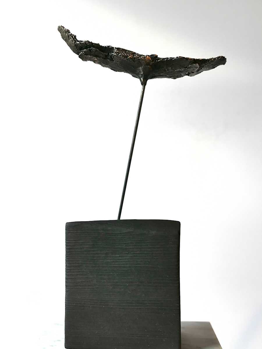 Meditations on the Icarus Effect II by Thomas Bucich 