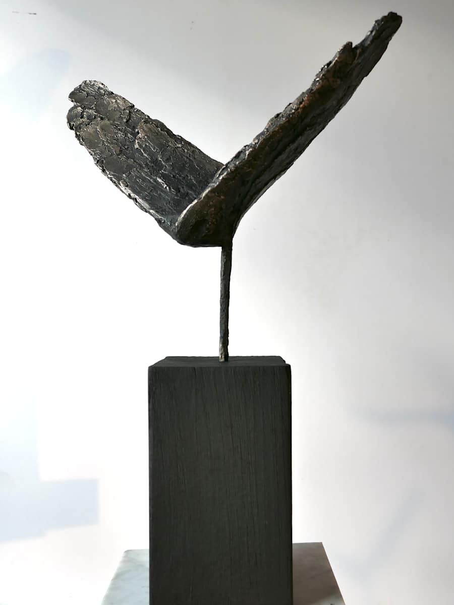 Meditations on the Icarus Effect III by Thomas Bucich 
