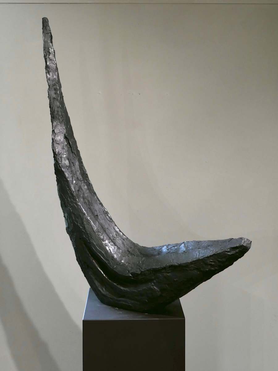 The Journey by Thomas Bucich 