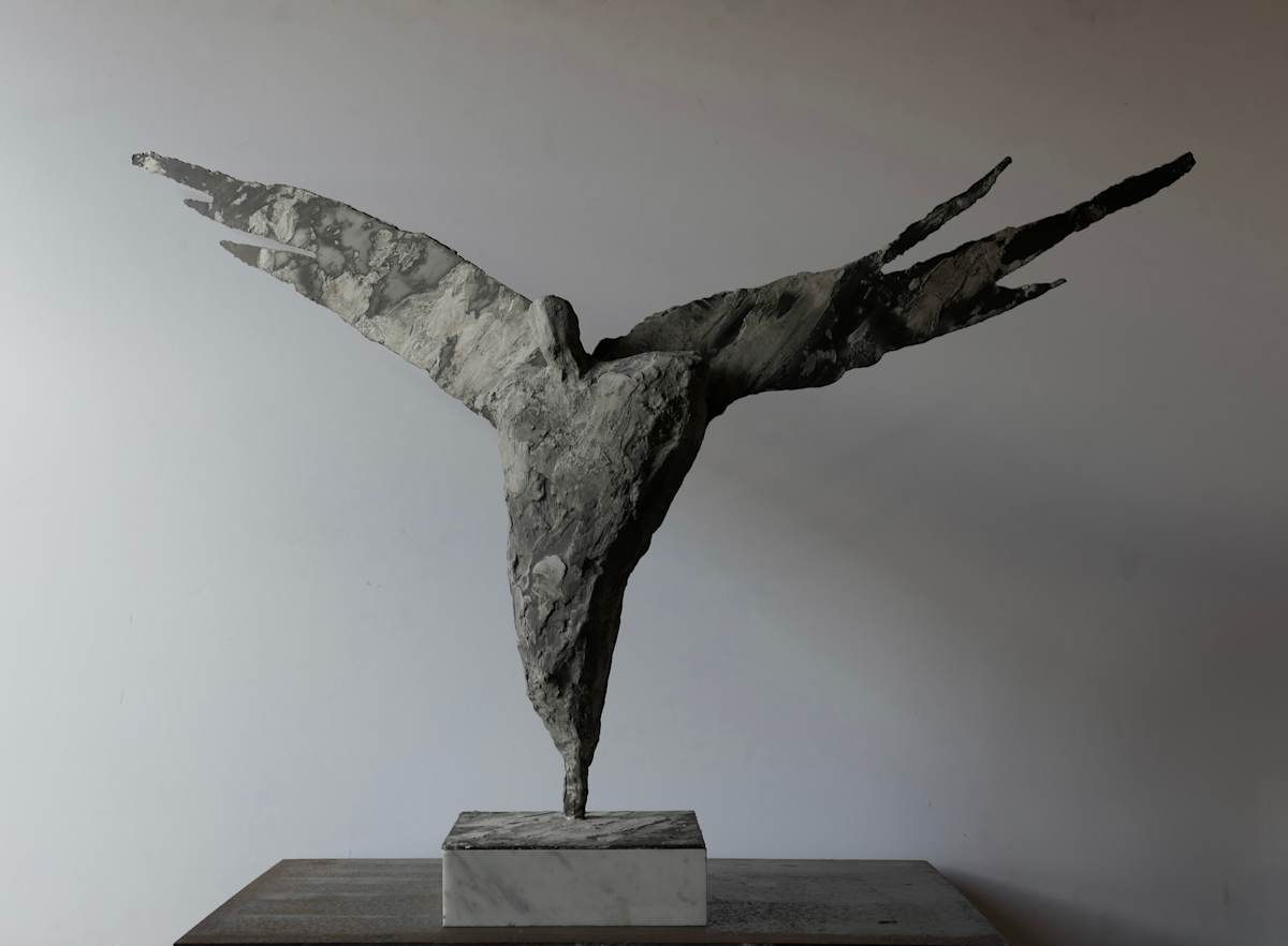Meditations on the Icarus Effect VII by Thomas Bucich, Image 1.