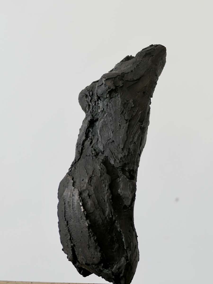Figure Study, Image 2.