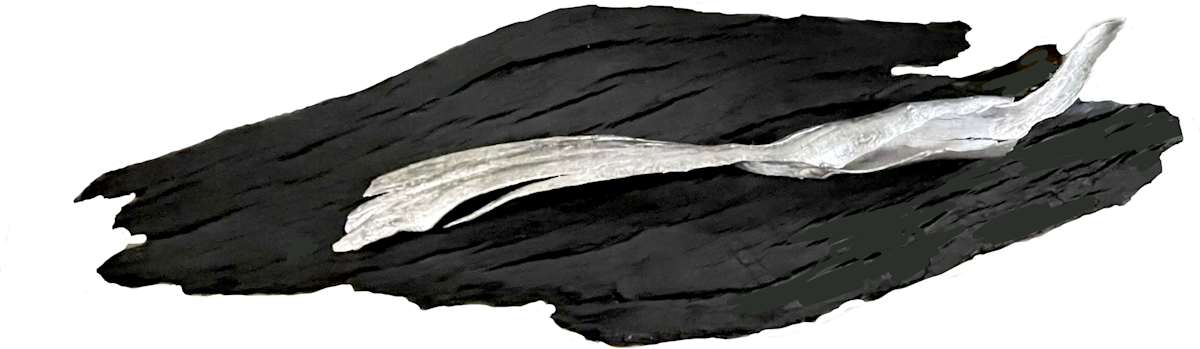 Cradle - Bark by Thomas Bucich, Image 1.