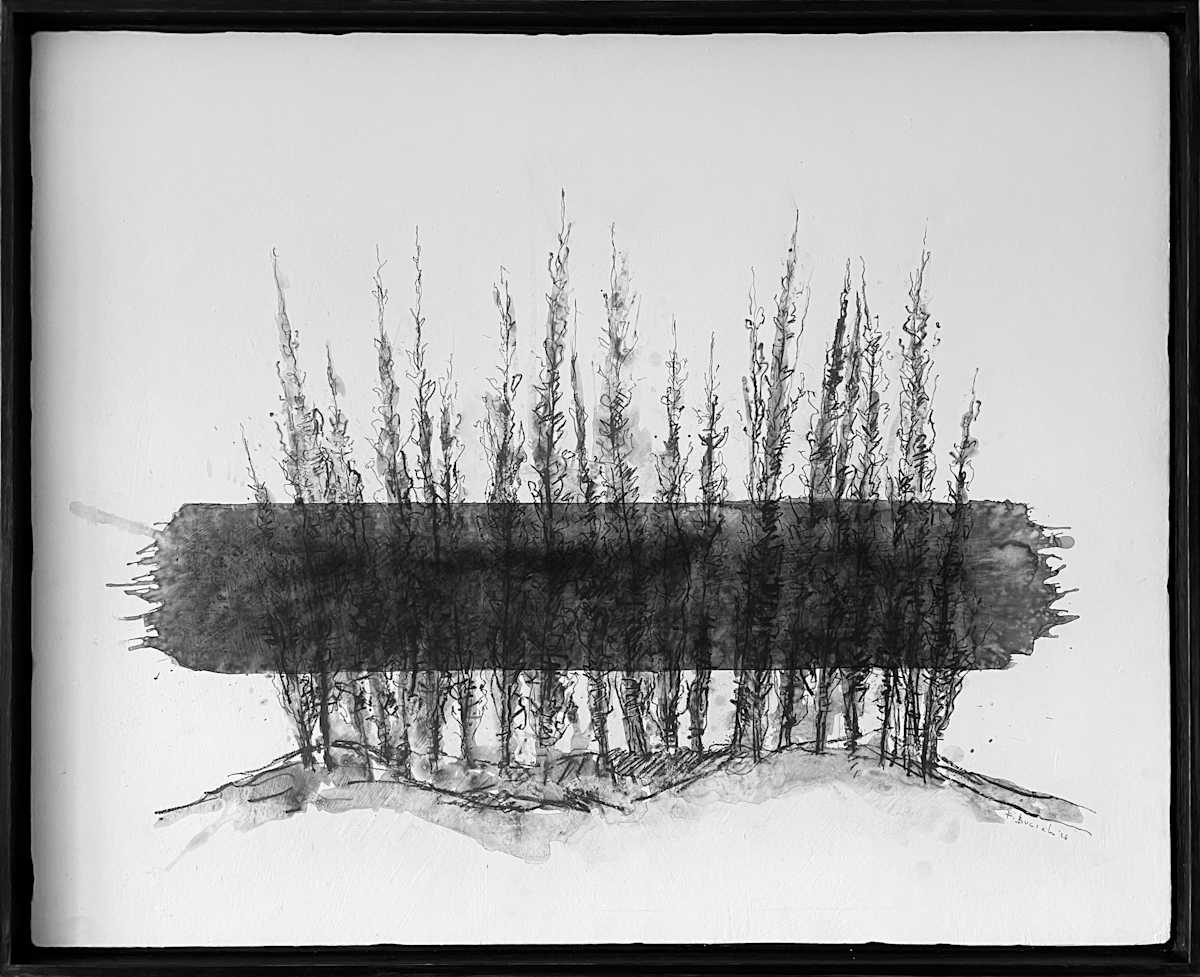 Denied Landscape III by Thomas Bucich, Image 1.