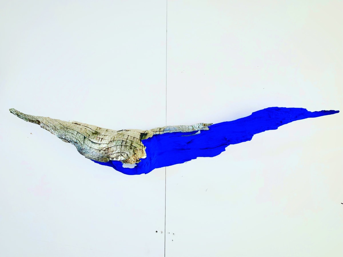 Little Wing, Image 1.