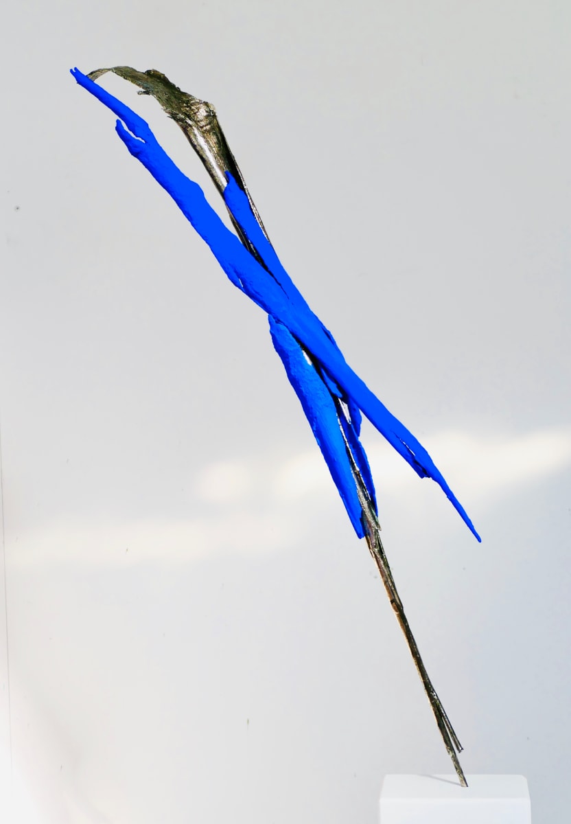 Little Wing 2 by Thomas Bucich 