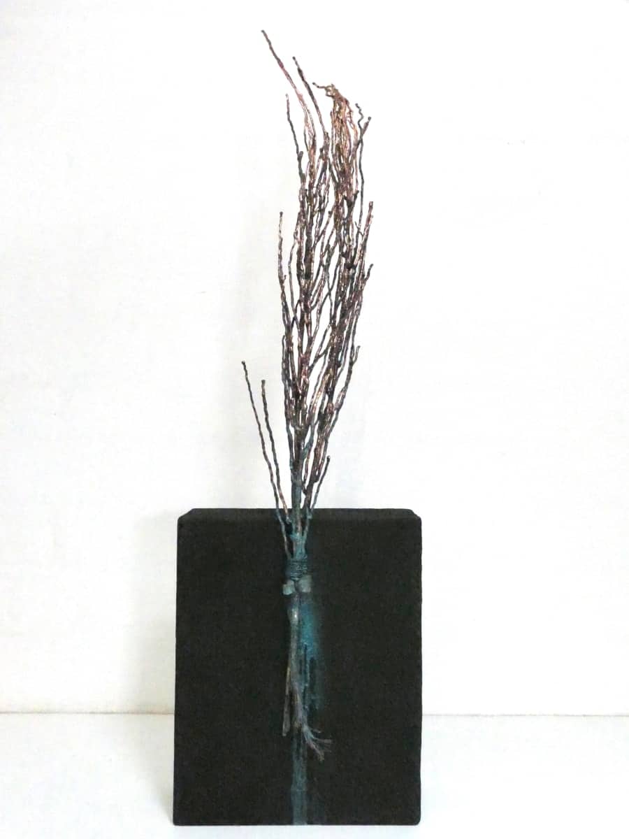 Specimen X, Image 3.