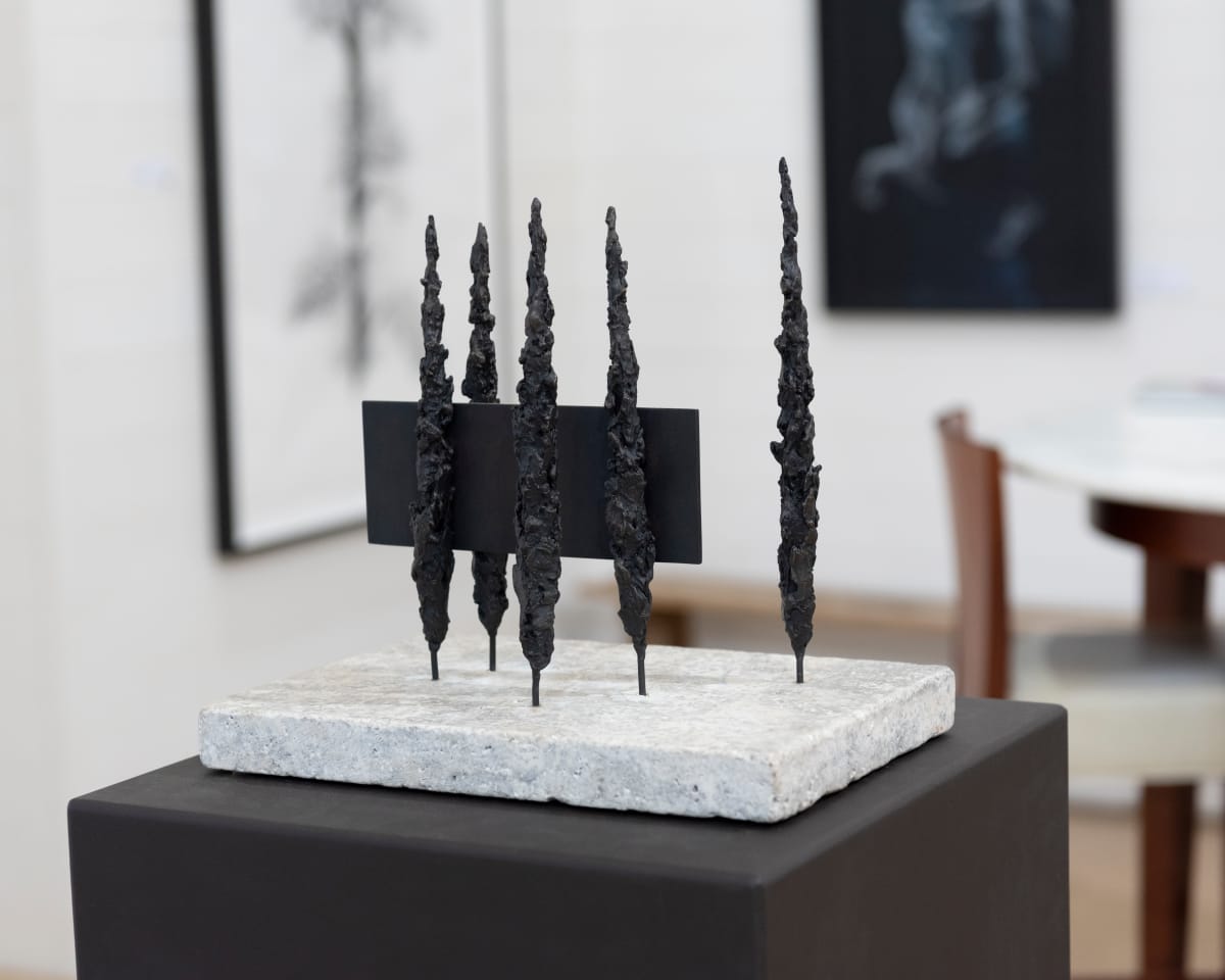 Denied Landscape X by Thomas Bucich 