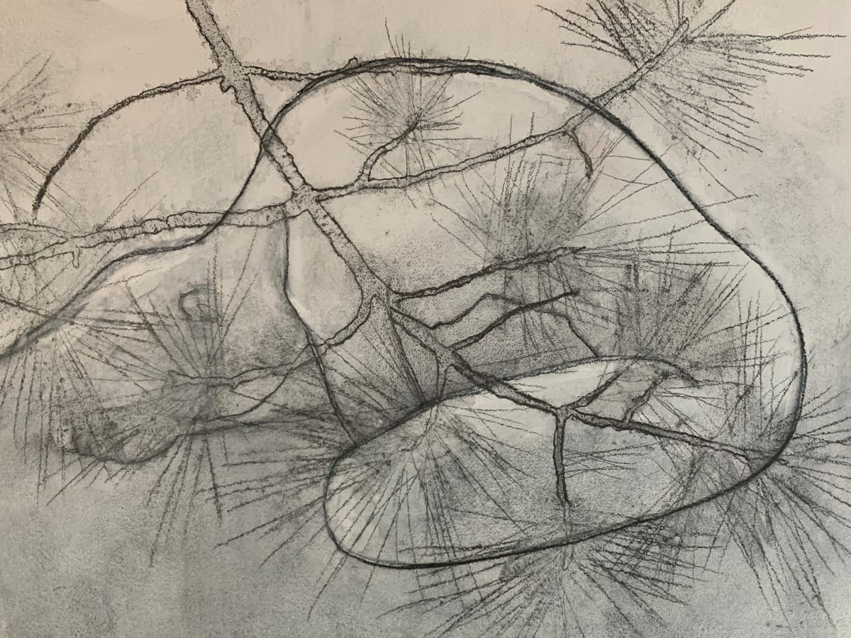 Beneath Branches - White No.1 by Thomas Bucich 