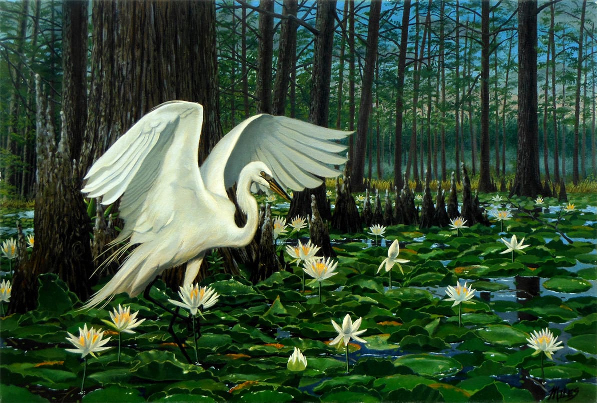 Great Egret by Kevin D. Miles Schaefer/Miles Fine Art 