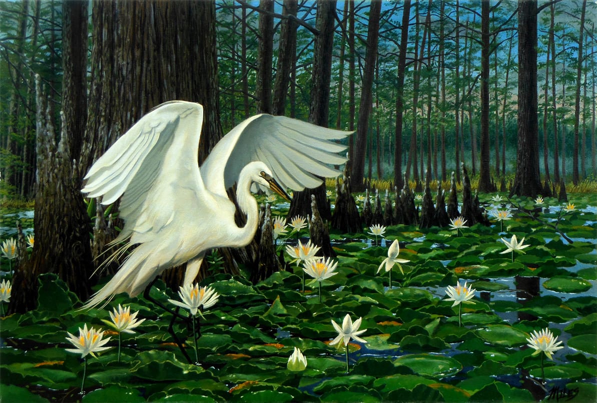 Great Egret by Kevin D. Miles Schaefer/Miles Fine Art, Image 1.