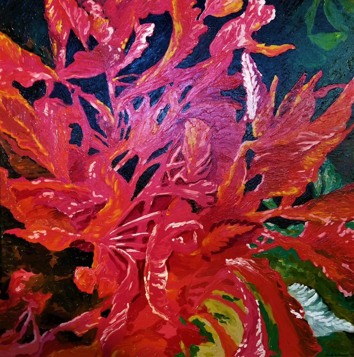 Amaranthus by Wendy S Schaefer Miles 