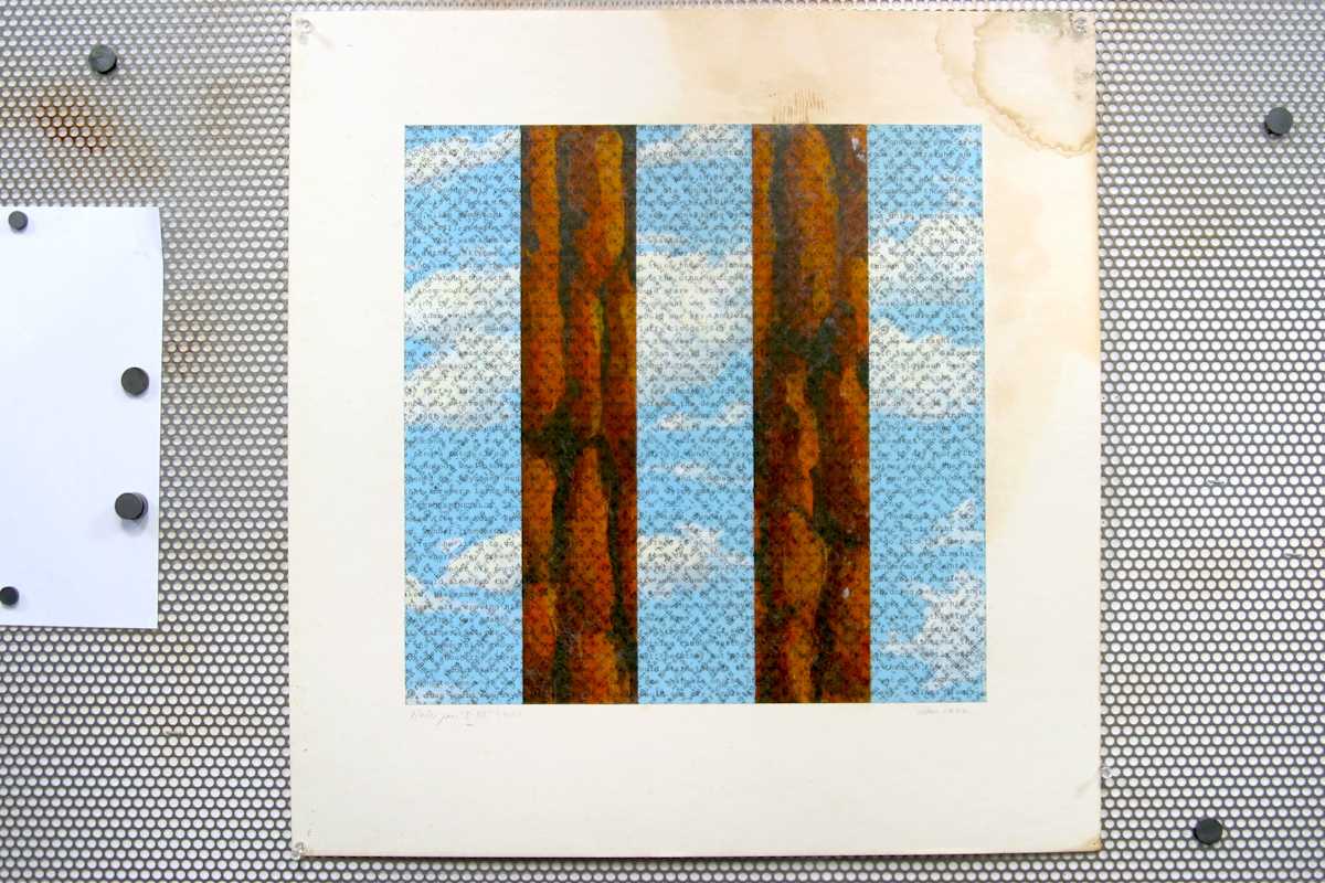 Untitled by Robbin Murphy, Image 1.
