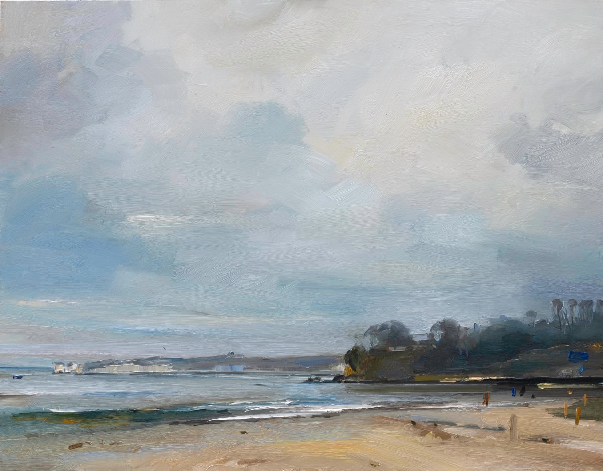 A Winter Walk on Studland Beach 