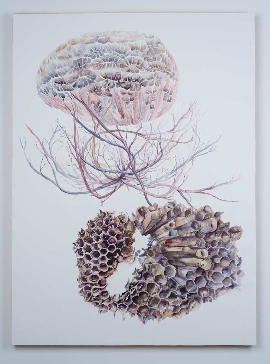 Residual Colonies by Lindy Stice, Image 1.